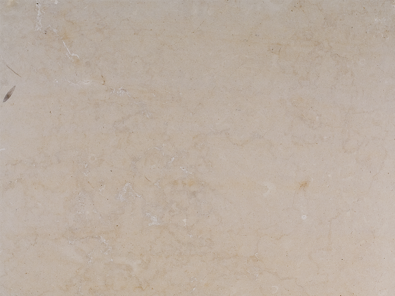 Coastal Beige