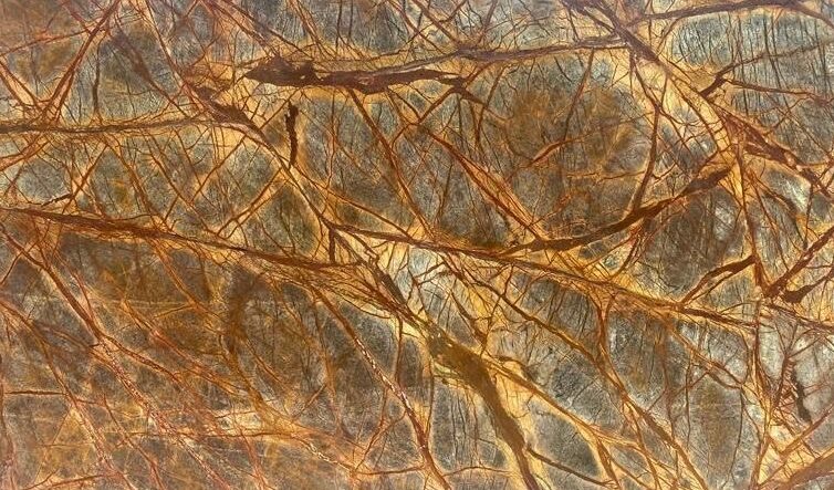 Forest Brown