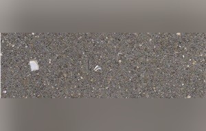 Absolute Grey Pearl Sandstone