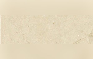 Adria Venato Limestone