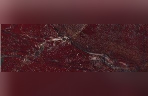 Aegean Bordeaux Marble
