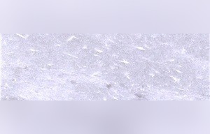 African White Marble