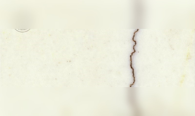 Afyon Striped Sugar