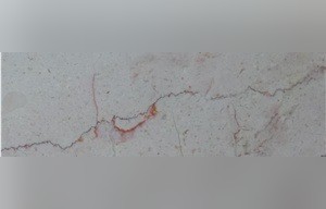 Agave Beige Marble
