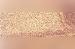 Aguilar Sandstone