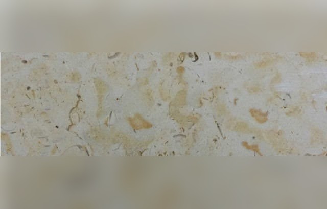 Ajlouni Desert Beige Limestone