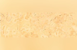 Ajlouni Limestone