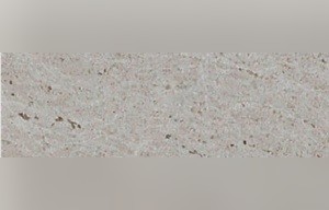 Al Mabra Royal Beige