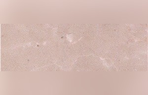 Alba Beige