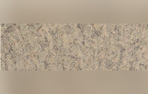 Algonquin Grey