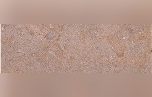 Algonquin Limestone