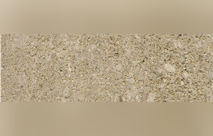 Altamira Rosal Limestone