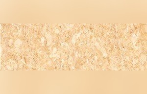 Amarillo Coral