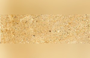 Amarillo Fosil