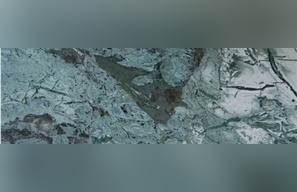 Amazon Bamboo Quartzite