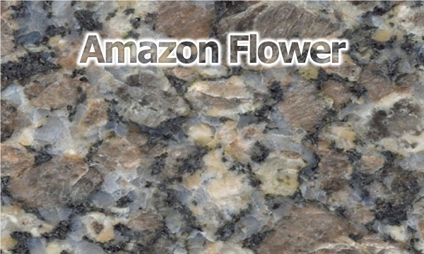 Amazon Flower