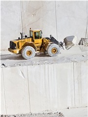 Ambra Limestone