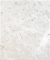Ambra Limestone