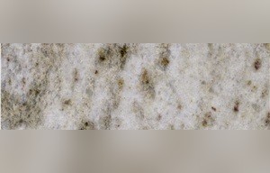 Andromeda White Granite