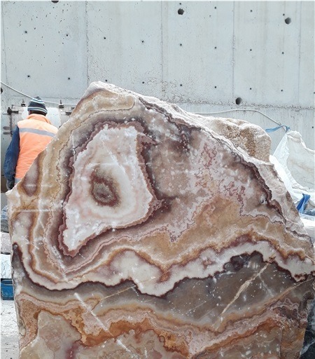 Antico Traonyx