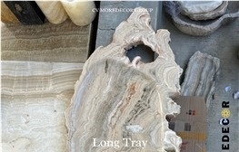 Antico Traonyx