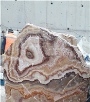 Antico Traonyx