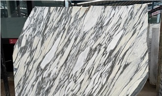 Arabescato Corchia Marble