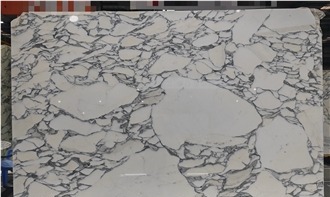 Arabescato Corchia Marble