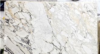 Arabescato Corchia Marble