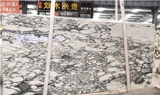 Arabescato Corchia Marble