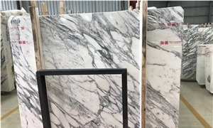 Arabescato Ducale Marble