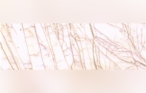 Arachnia Marble