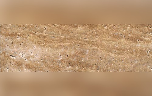 Arachnis Brown