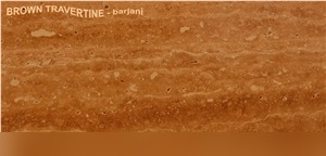 Arachnis Brown