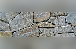 Arbutus Schist