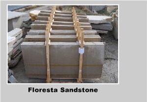 Arenisca Floresta Gris