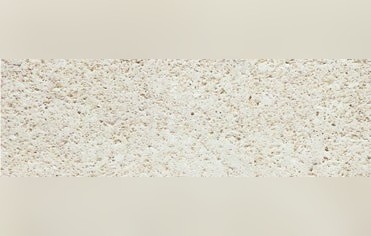 Arenisca Fossil Pearl
