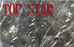 Argentato Carnico Marble