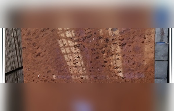 Argolis Red Marble