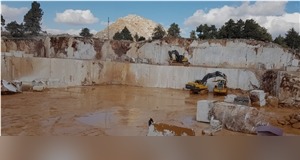 Aris Silver Marble