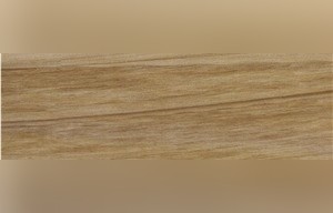 Australian Wood Sandstone