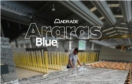 Azul Araras Granite