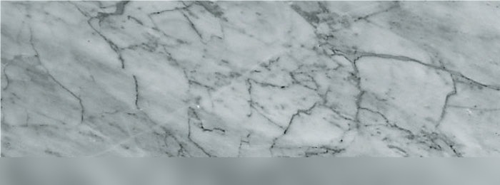 Bardiglio Fiorito Marble