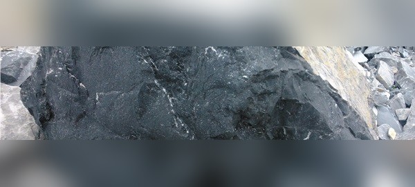 Bardiglio Nero Di Carrara