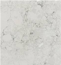 Bargiolina Quartzite