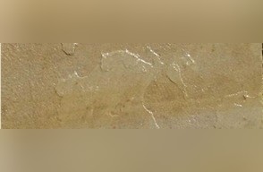 Bassa Beige Sandstone