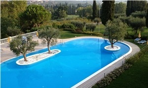 Beaumaniere Limestone