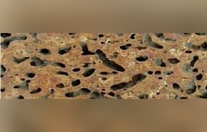 Bee Nest Basalt