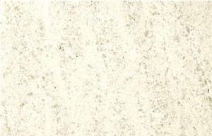 Beige Dalmatia