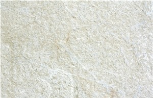 Beige Dalmatia